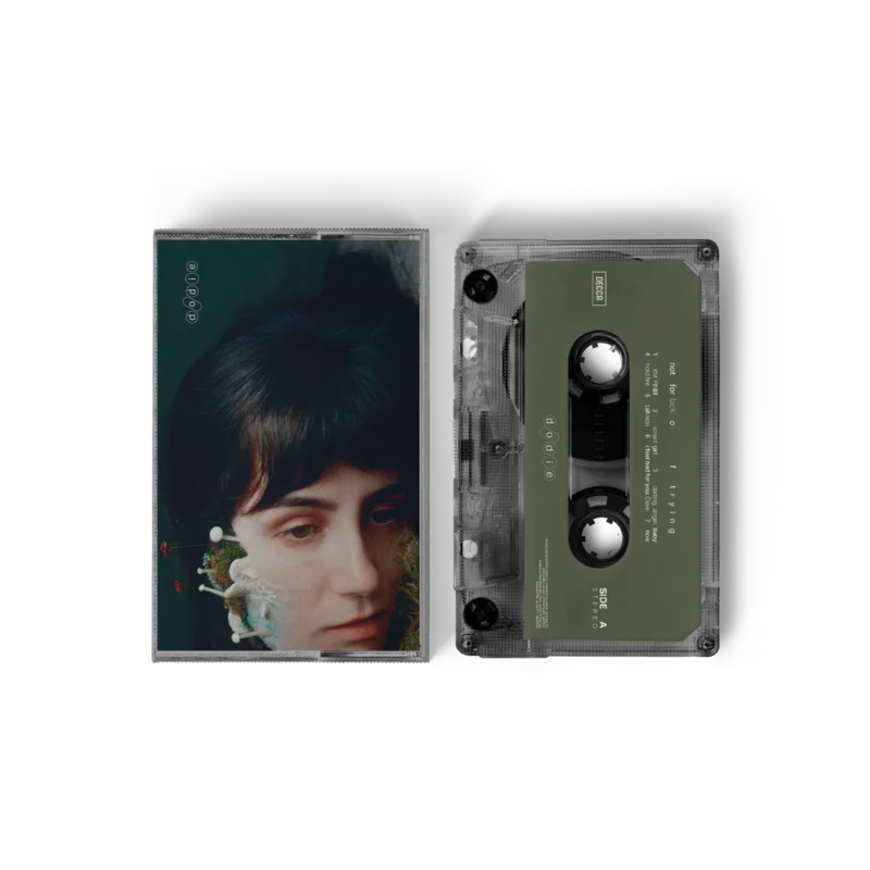 Not For Lack Of Trying Cassette