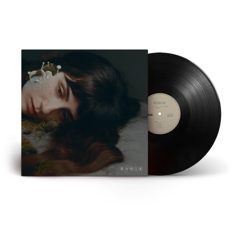 Not For Lack Of Trying Vinyl LP