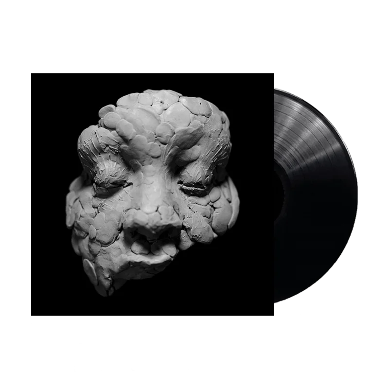 Observations From a Crowded Room LP