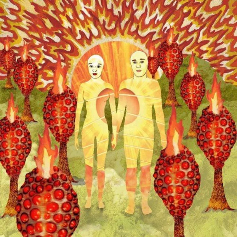 of Montreal - The Sunlandic Twins - 20th Anniversary Edition