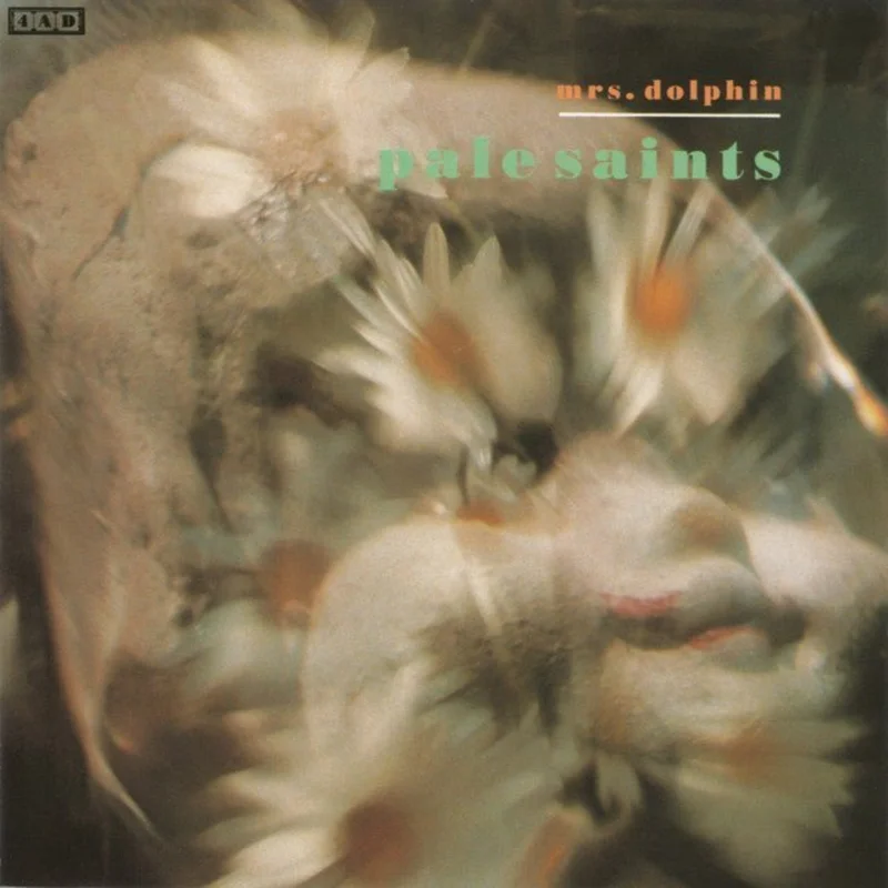 Pale Saints - Mrs. Dolphin
