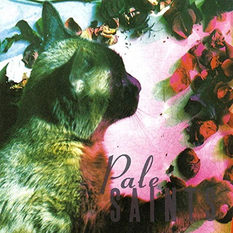 Pale Saints - The Comforts Of Madness 30th Anniversary Re:Masters