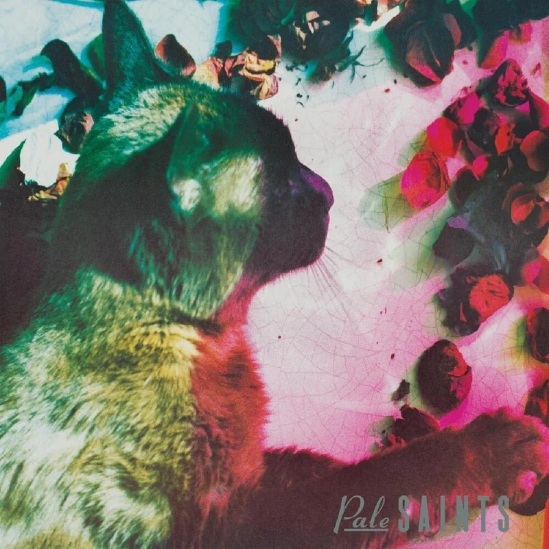 Pale Saints - The Comforts Of Madness 30th Anniversary