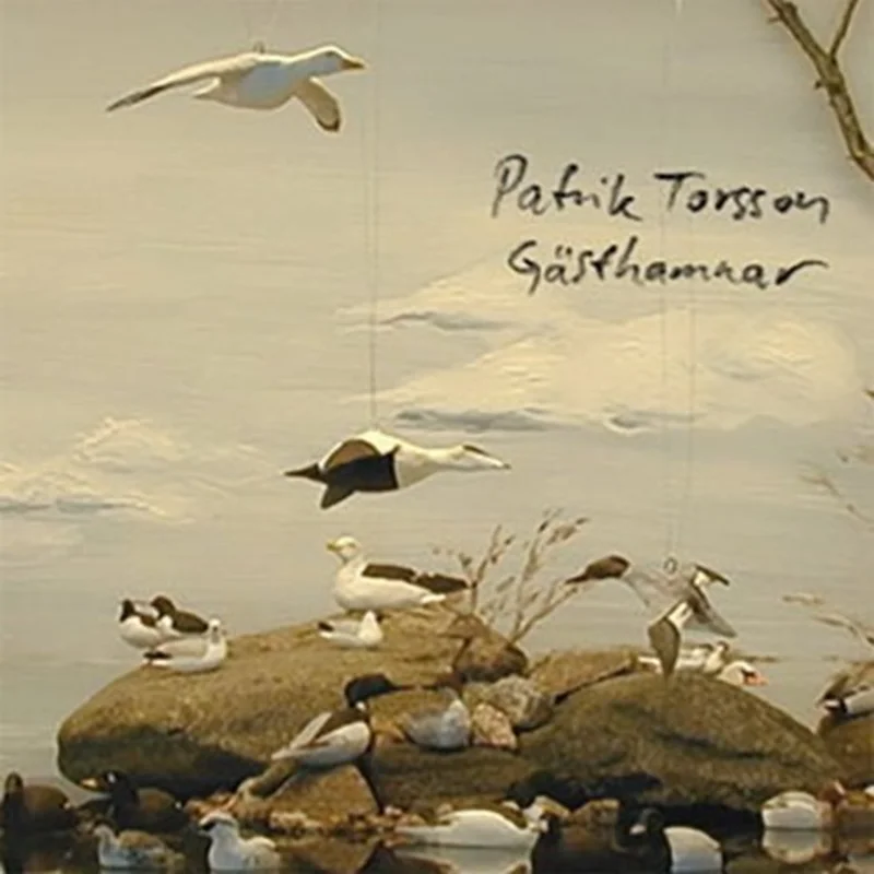 Patrik Torsson - Gsthamnar