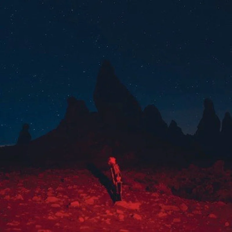 PHOEBE BRIDGERS 'PUNISHER' LP