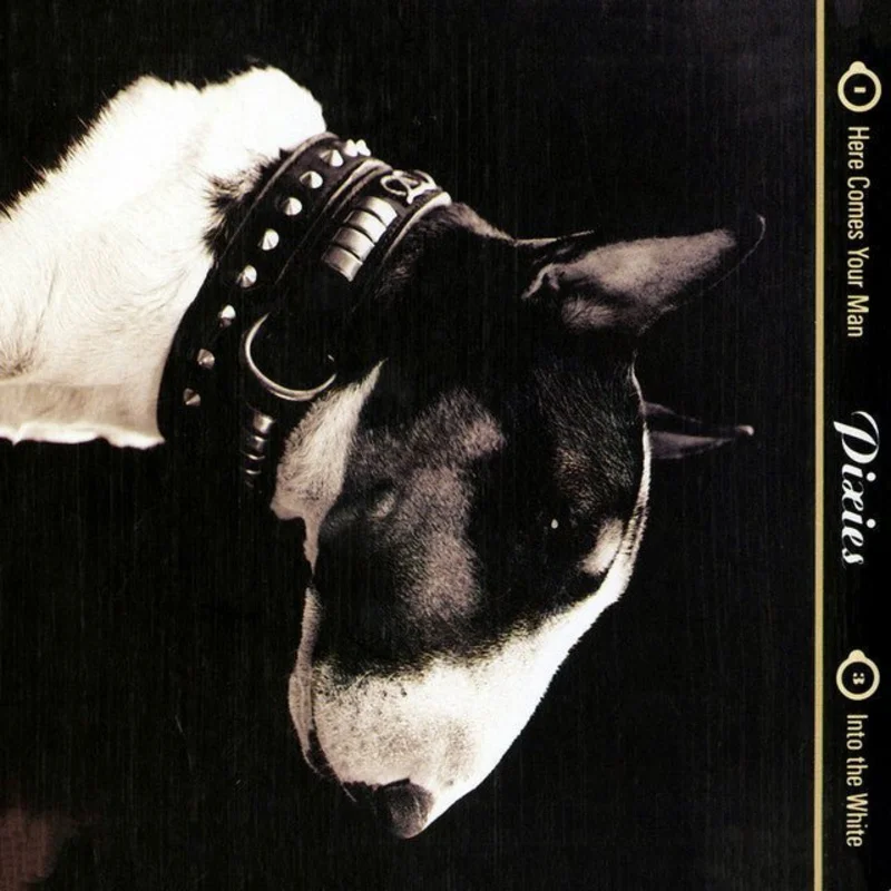 Pixies - Here Comes Your Man
