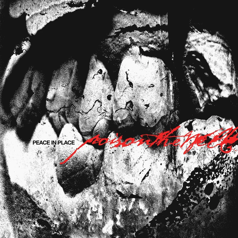 POISON THE WELL PEACE IN PLACE CD