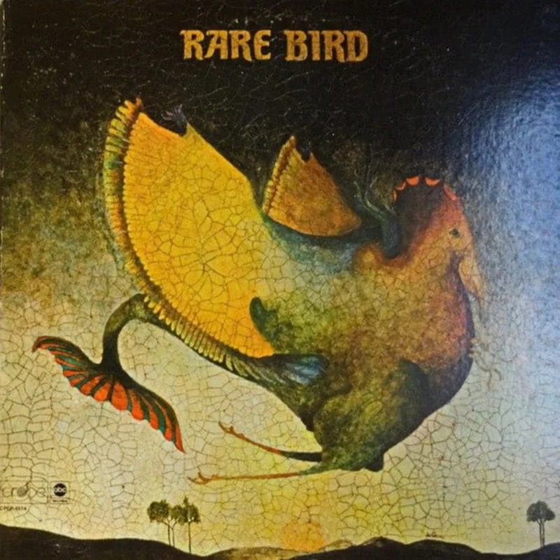 Rare Bird - Rare Bird