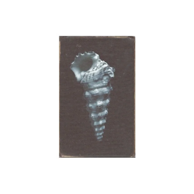 Restoring Force Journal