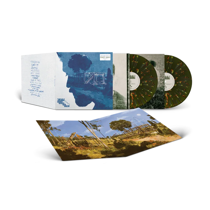 Room Under The Stairs 2LP