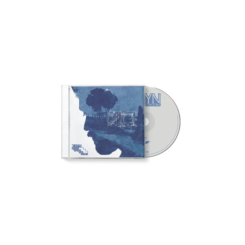 Room Under The Stairs CD