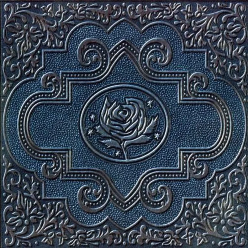 Ryan Adams & The Cardinals - Cold Roses