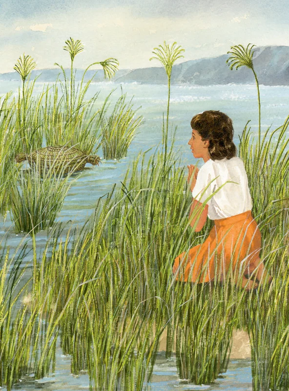 Scripture Press | 2s & 3s Pupil Bible Pictures Take-Home Cards | Summer 2026