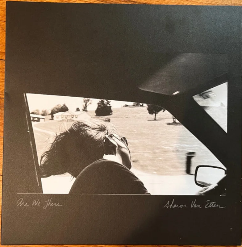 Sharon Van Etten - Are We There (LP, Album, Ann) (Mint (M))
