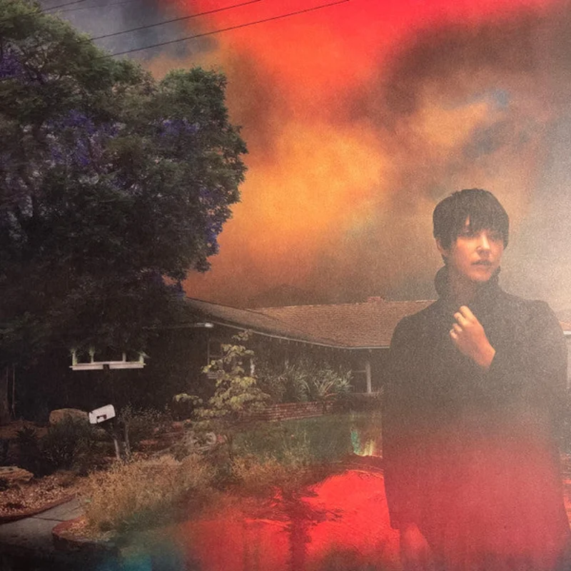 Sharon Van Etten - We've Been Going About This All Wrong (LP, Album) (Mint (M))