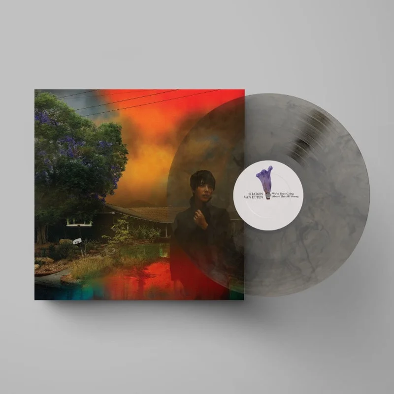 SHARON VAN ETTEN 'WE'VE BEEN GOING ABOUT THIS ALL WRONG' LP (Marbled Smoke Vinyl)