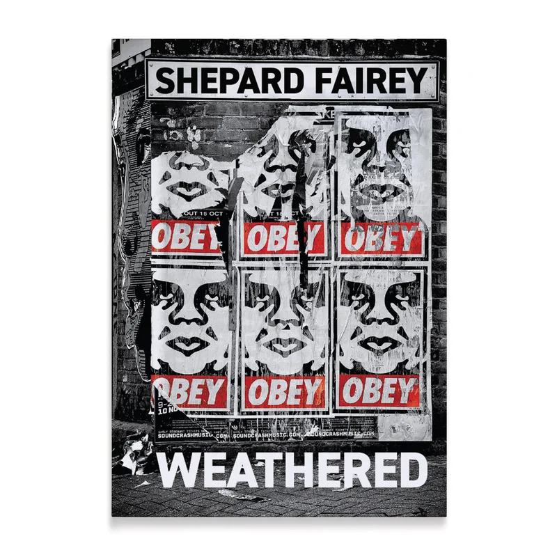 SHEPARD FAIREY WEATHERED BOOK