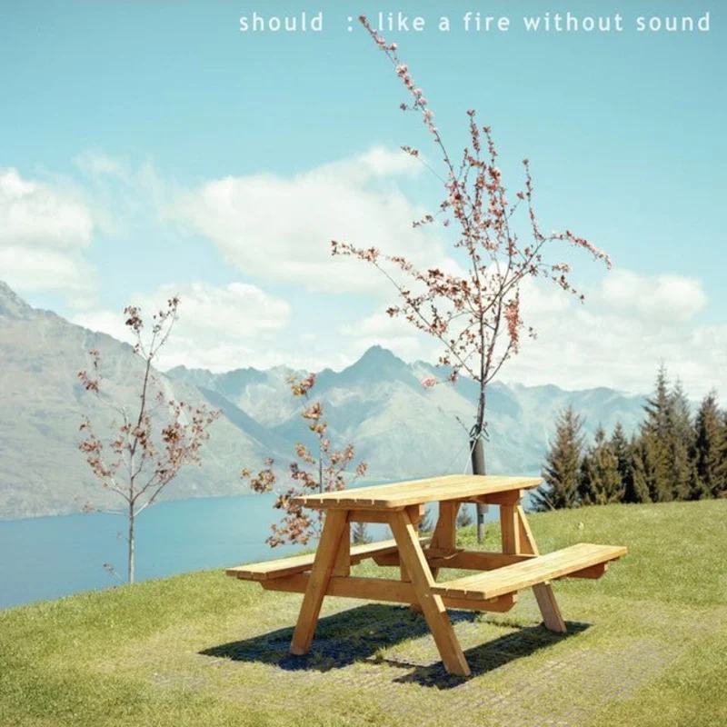 Should - Like A Fire Without Sound