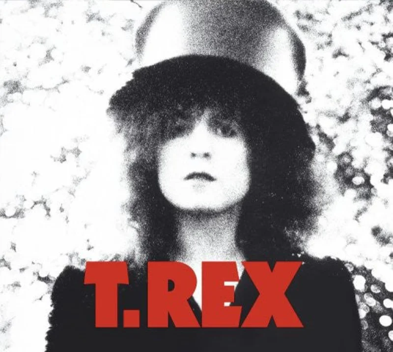 Slider (Deluxe Version Black Vinyl) [Import]