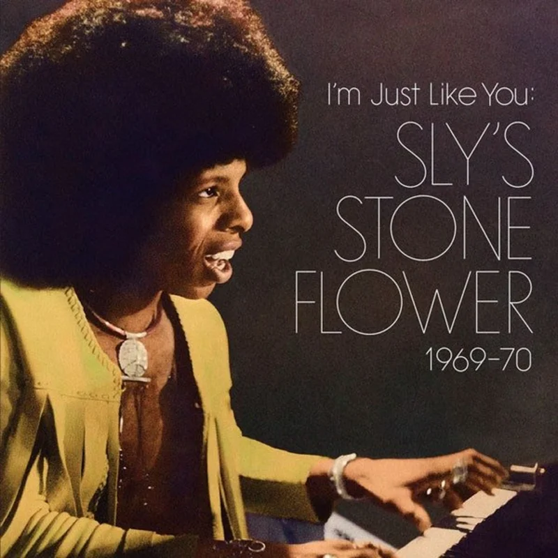 Sly Stone - I'm Just Like You: Sly's Stone Flower 1969-70