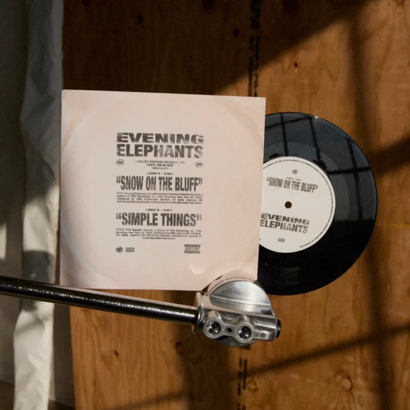 Snow on The Bluff / Simple Things 7 Vinyl