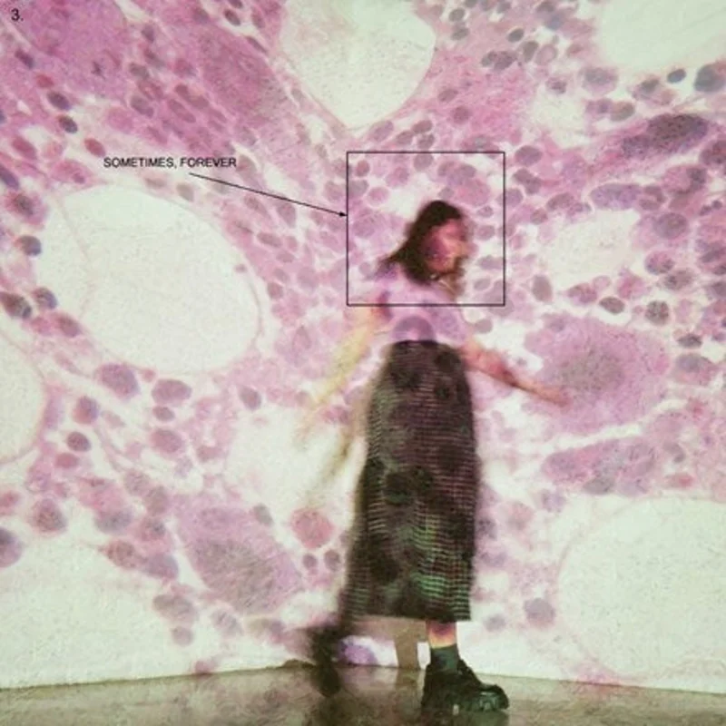Sometimes, Forever (Colored Vinyl, Pink, Black, Limited Edition, Indie Exclusive)