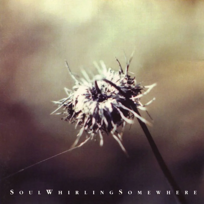 Soul Whirling Somewhere - Everyone Will Eventually Leave You