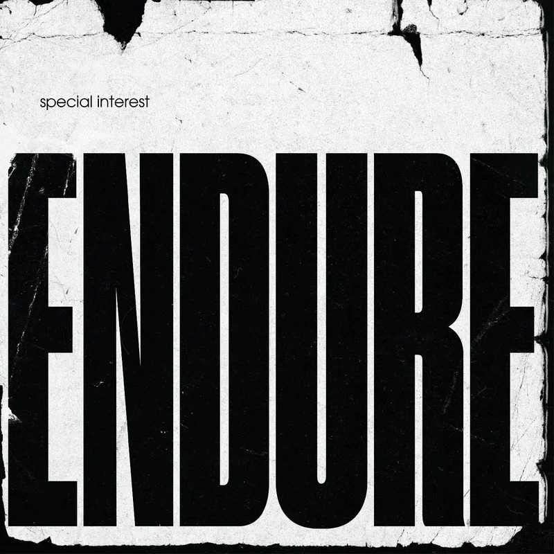 SPECIAL INTEREST 'ENDURE' LP