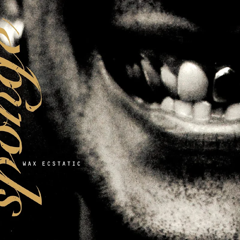 SPONGE 'WAX ECSTATIC' LP (Galaxy Beer & Black Vinyl)