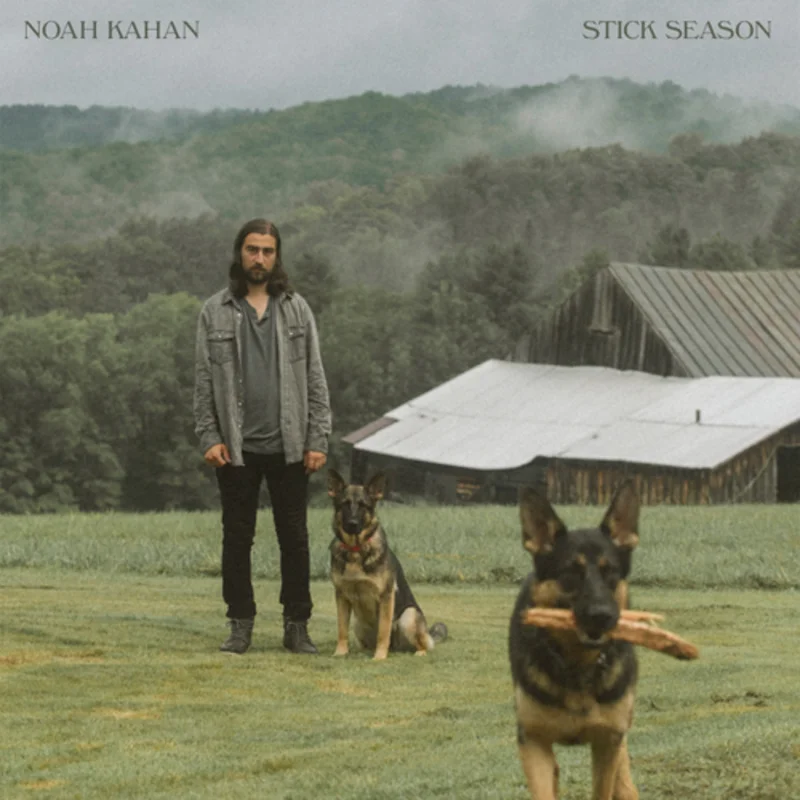Stick Season [Indie Exclusive Limited Edition Brown 2LP]