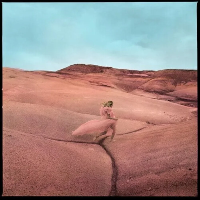 Strays (Indie Exclusive, Limited Edition, Colored Vinyl, Purple, Smoke)