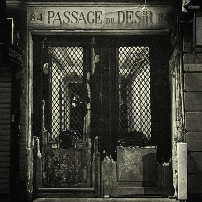 Sturgill Simpson - Passage Du Desir