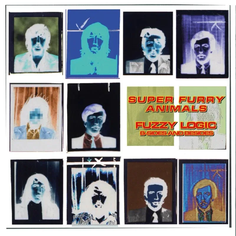 Super Furry Animals - Fuzzy Logic (B-Sides & Besides) [RSD24 EX]