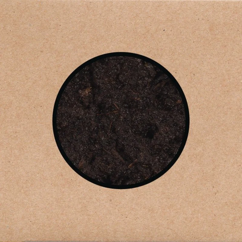 Swans - Birthing