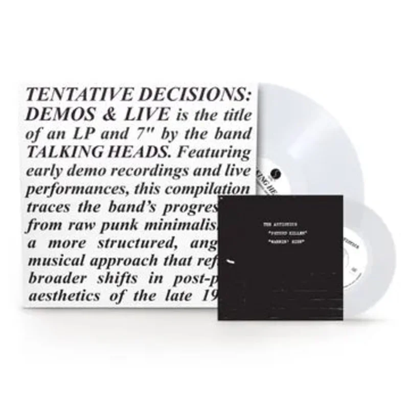 Tentative Decisions: Demos & Live (RSDBF25)