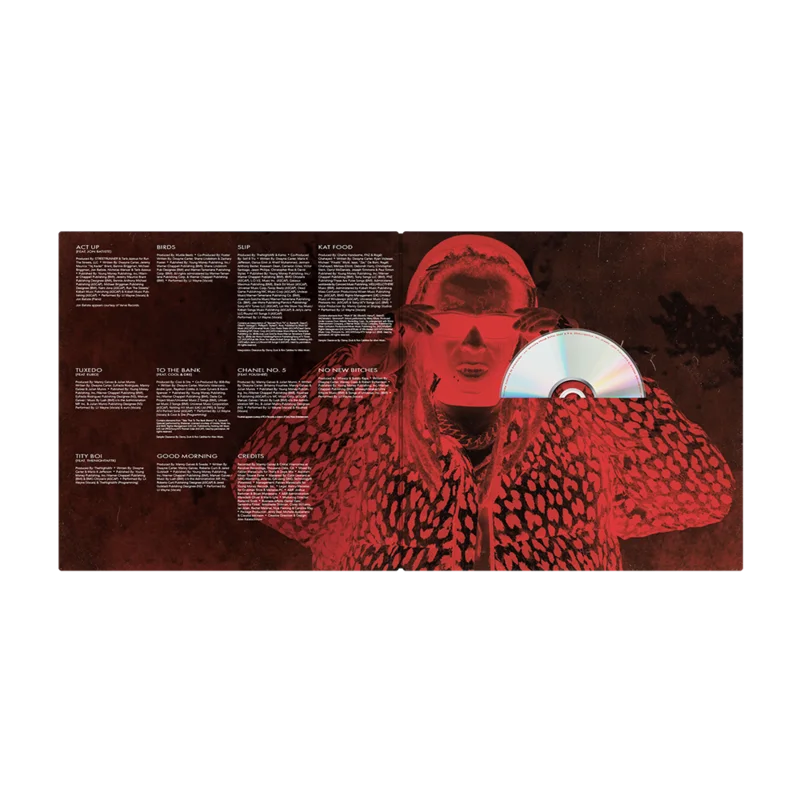 Tha Fix Before Tha VI Art Album