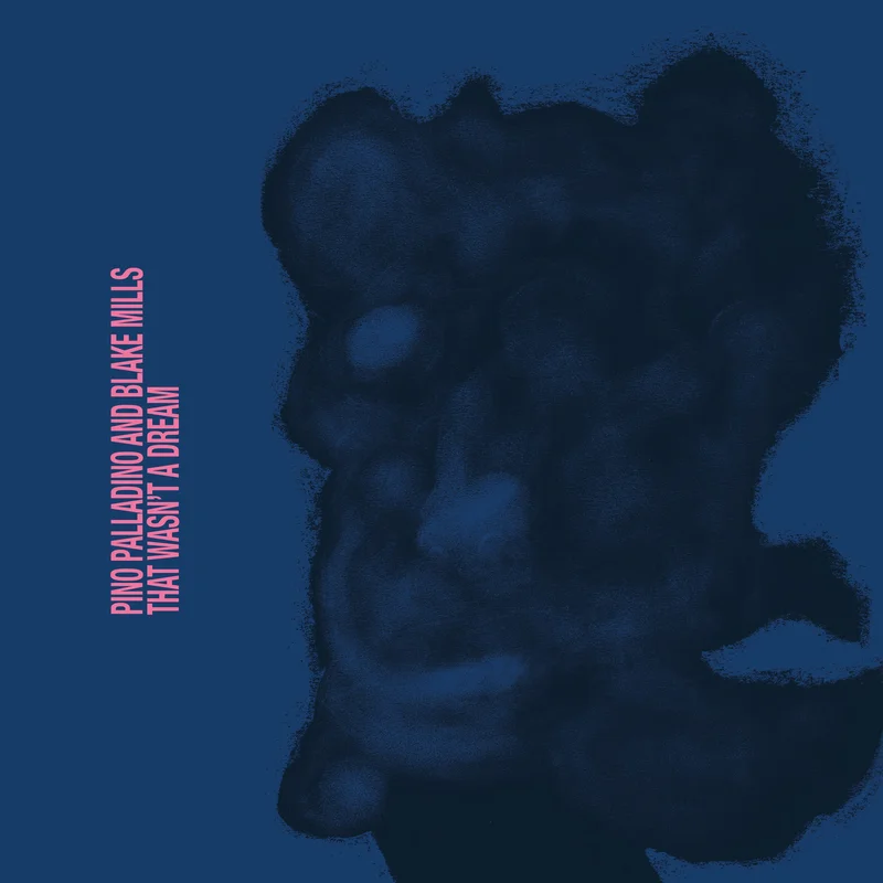 That Wasn't a Dream (Vinyl)