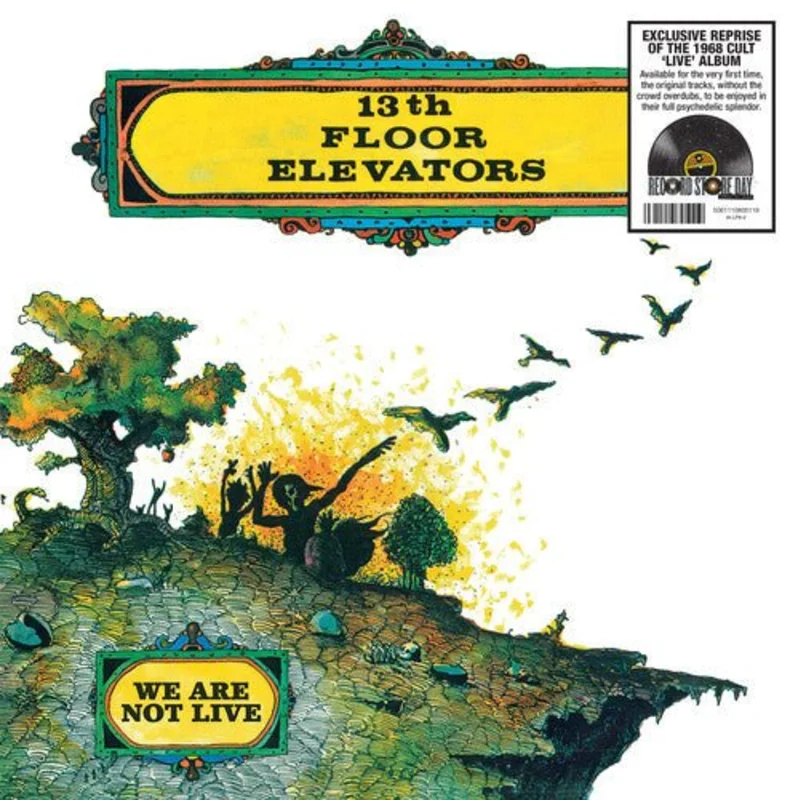The 13th Floor Elevators - We Are Not Live
