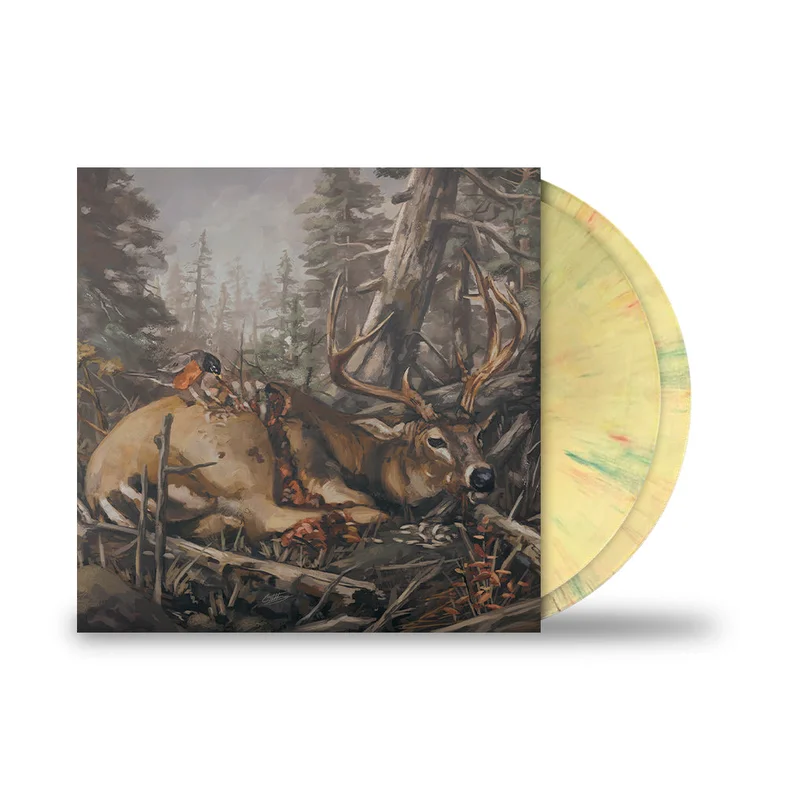 THE ACACIA STRAIN FAILURE WILL FOLLOW  2LP (Limited Edition  Only 400 made, Banana Swirl Vinyl)