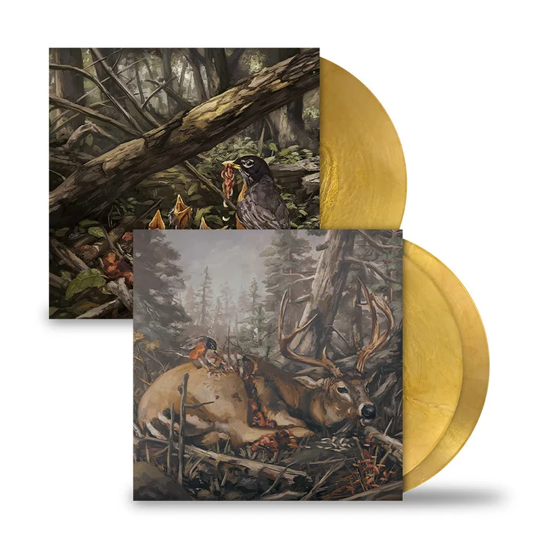 THE ACACIA STRAIN STEP INTO THE LIGHT LP & 'FAILURE WILL FOLLOW' 2LP (Limited Edition Bundle  Only 100 made, Gold Metallic Swirl Vinyl)