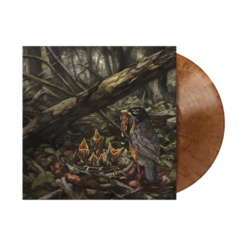 THE ACACIA STRAIN STEP INTO THE LIGHT  LP (Limited Edition  Only 400 made, Pearlescent Copper Swirl Vinyl)