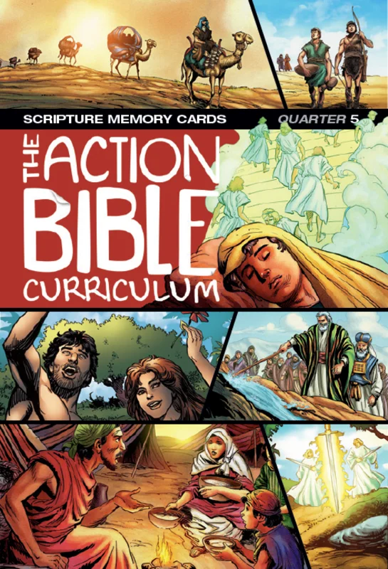 The Action Bible Scripture Memory Cards NIV- Print Quarter 5