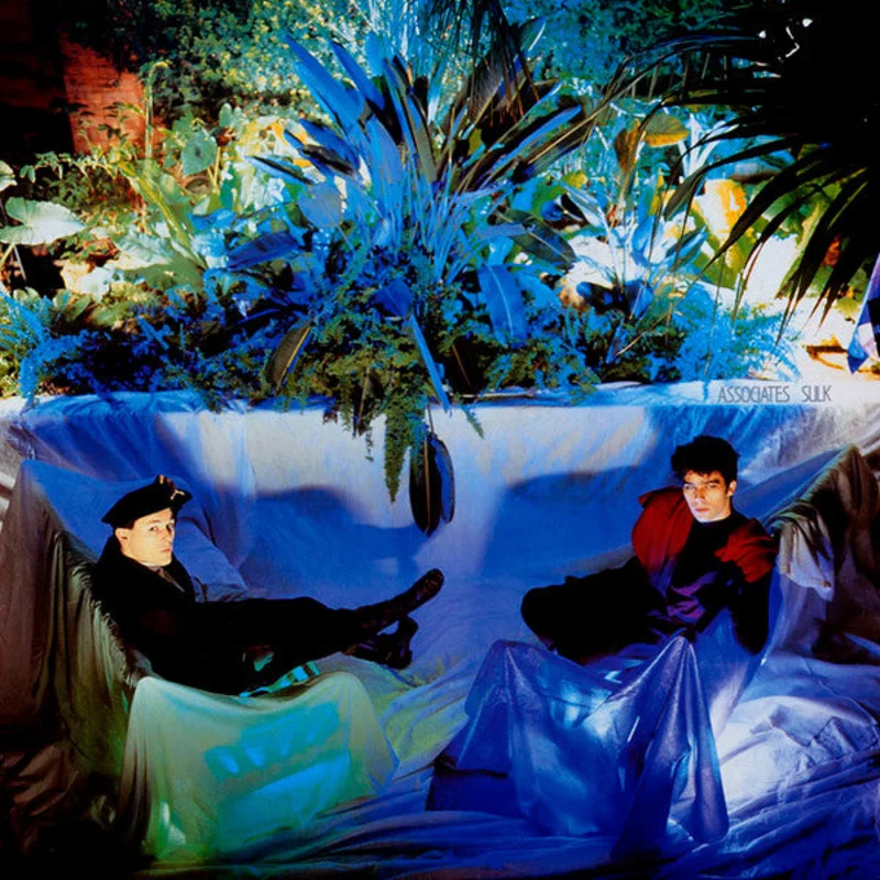 The Associates - Sulk (LP, Album) (Near Mint (NM or M-))