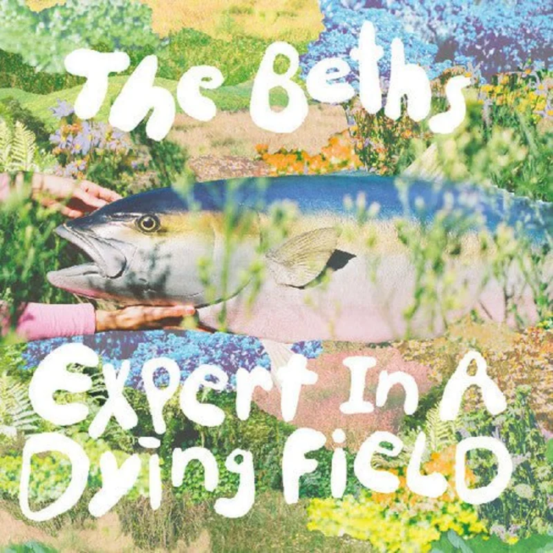 The Beths - Expert in a dying field