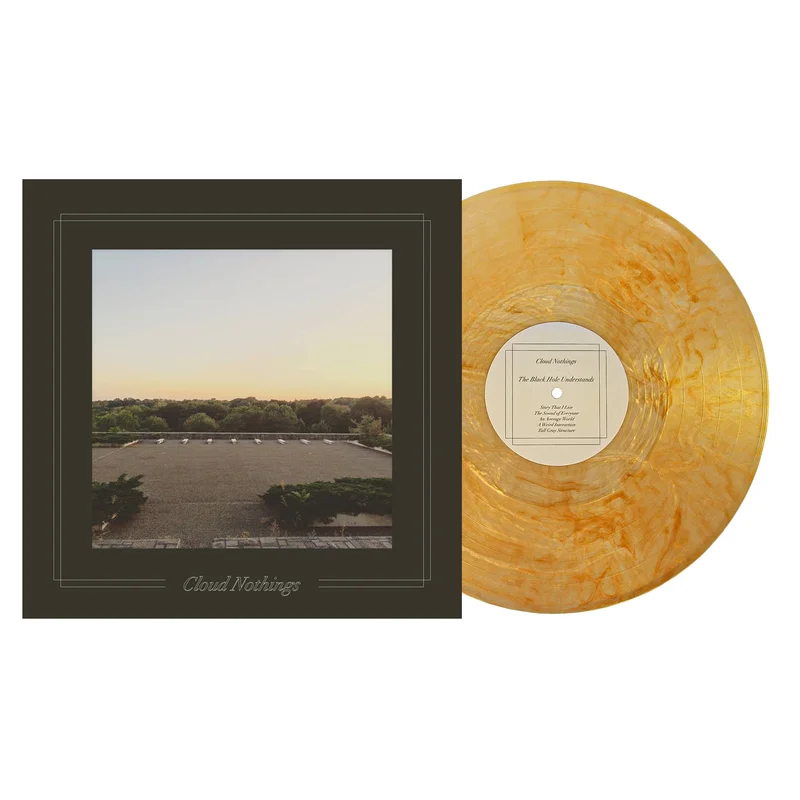 The Black Hole Understands - Gold LP