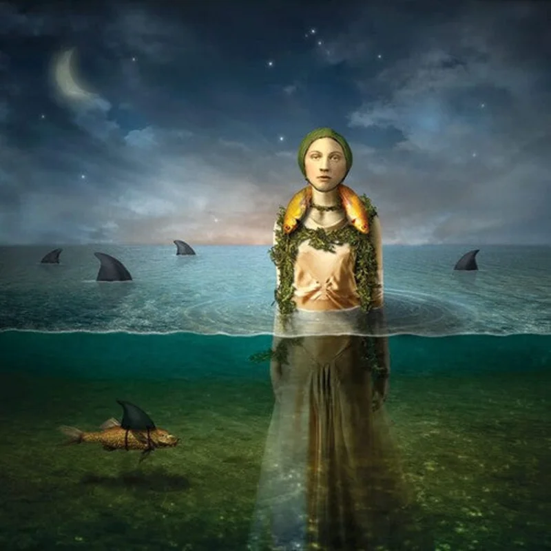 THE BLED 'FOUND IN THE FLOOD' LP (Limited Edition)