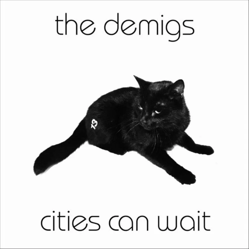 The Demigs - Cities Can Wait