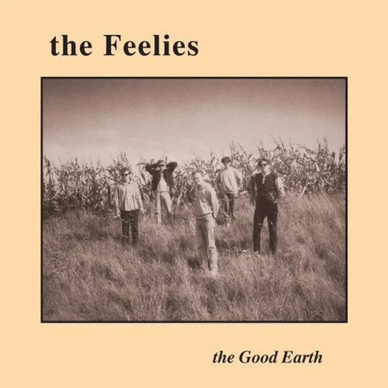 THE FEELIES 'THE GOOD EARTH' LP