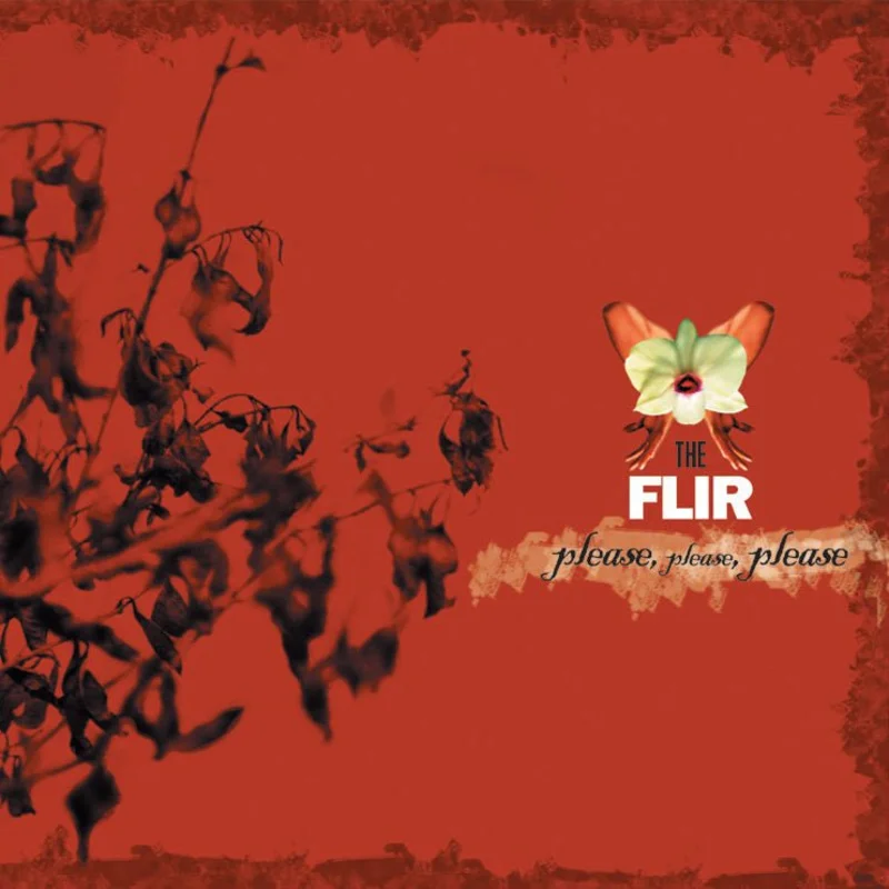 The Flir - Please, Please, Please