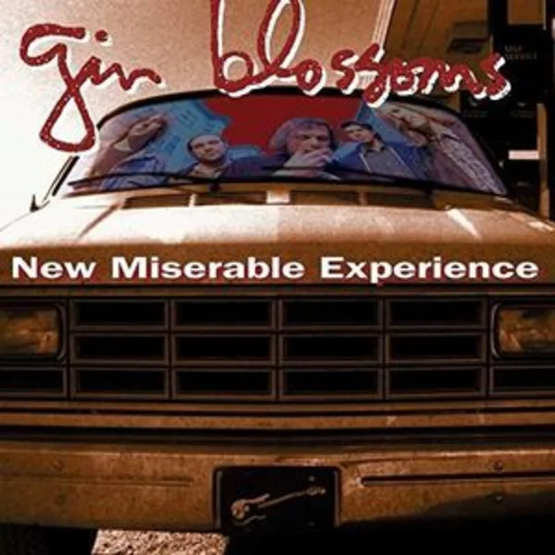 THE GIN BLOSSOMS 'NEW MISERABLE EXPERIENCE' LP
